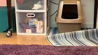 pussy play with dildo riding big clit till wet squirting 😈 boys wanna join?