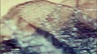 Wife Gets Bunny Anal Plug And Facial