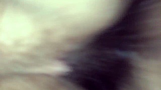 What does the wife want with her pussy?