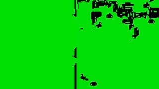 Bruna Silva hotwife meets bull