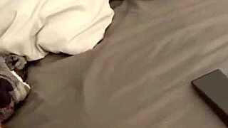 pawg couple getting naughty on periscope