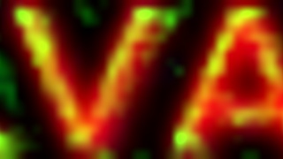 Bruna Silva hotwife meets bull