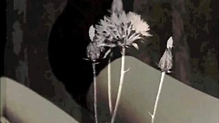 Minha vida secreta explorando lésbicas vintage safadas