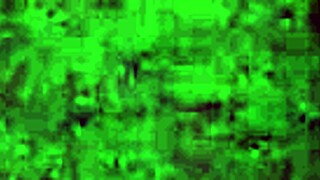 Couple fucking in Buenos Aires cyber cafe! 😉