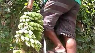 corno goes to fetch banana and gets cheated on