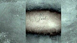 Explore The Wonderful World Of Vintage Pornography Threesomes!