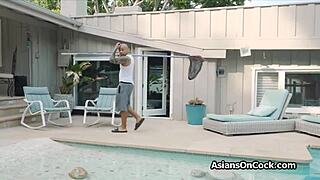 Asian bikini beauty deepthroats big black cock