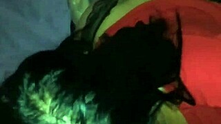 Amateur woman gives intense blowjob in homemade setting with passion.