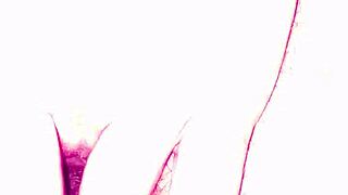 I was just casually fingering my ass in public, feeling so horny.