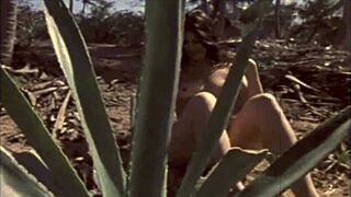 dark lantern entertainment presents the dragonfly