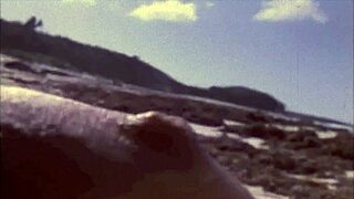 dark lantern entertainment presents the dragonfly