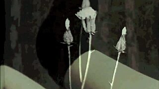 Two Centuries Of Vintage Pornography From The 20th And 19th Centuries.