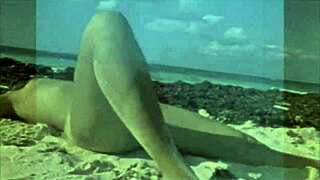 dark lantern entertainment presents the dragonfly