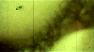 Exploring Vintage Porn With Hairy Beaver