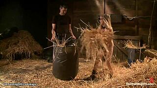 Bound on All Fours, Blond Endures Rough Anal