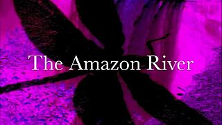 dark lantern entertainment presents the dragonfly