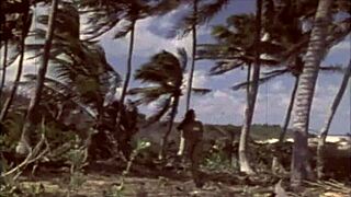 dark lantern entertainment presents the dragonfly