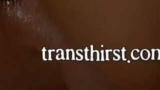 Hey, wanna see Aiden Ashley and Eva Maxim in oily, slutty tranny service action?