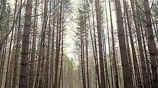 Quick Public Anal Sex on the Lake Leaves Me Shaking with Petite Teen Creampie