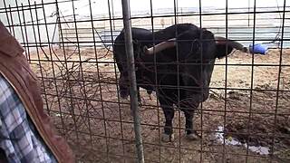 is mara lopez having fun with her chubby spanish body?