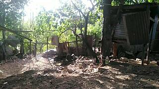 mientras alimento a los pollos mi amante me sorprende y me besa y hace sexo oral en el patio