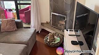 Tour my new apartment, come see where I film my videos, check out my site soyjoy sambaplay tv, my only joyce gumiero