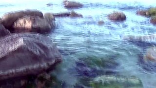 New Hot Scenes Weekly