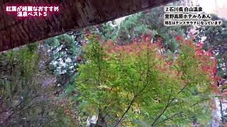 Enjoy Nanachi Together in High Definition