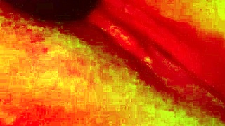 i played with myself using vibrator until orgasm