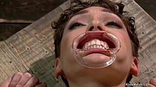 gagged brunette strapped to sybian machine for deepthroat