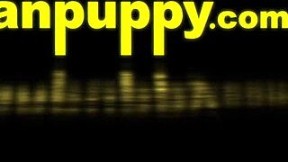 gay dilf richard lennox turns me into his fuck toy in pov humiliation