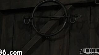 yo, wanna see me give an epic blowjob tonight?