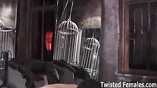 Are you ready to become my obedient little pet tonight?