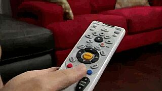 Hey, give me that tasty oral like my stepmom does!