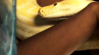 Does this Bollywood babe make your life better?