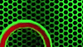 Pervy Philly John Packs Ass In Sensual Milf Pussy Lips Orgasm Blowjob Scene