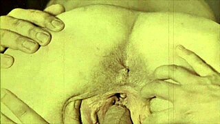 vintage threesome with double penetration and assfucking, so erotic!