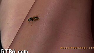 Hardcore Sadomasochism Scenes