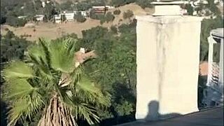 Felicity Feline Shines on Set in Sexy Compilation