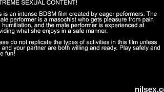 'Peculiar kitten, you're in the anal madhouse for awkward treatment.'