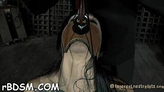 Bounded chick's melons and shaved twat get shocked with a prod. Her tight pussy endures intense fucking and sucking.