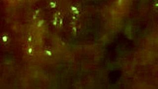 Uncle's forbidden touch on her hairy pussy