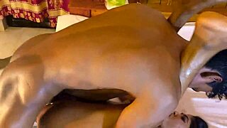 Sumona and rubel explore romantic gay sex with sucking and riding.