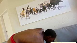 Curvy African Model Gets Boobs Squeezed Hard in Audition