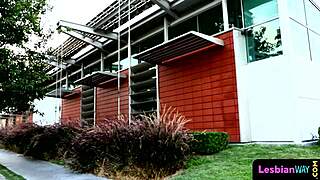 Lingerie Lesbian Tempts Babe To Lick Pussy