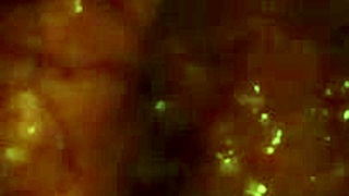 Uncle's forbidden touch on her hairy pussy