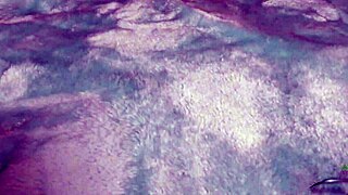 Nickey Huntsman oils toy for hairy pussy insertion