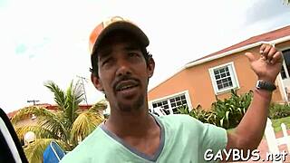 Discover Free Gay Porn Resources