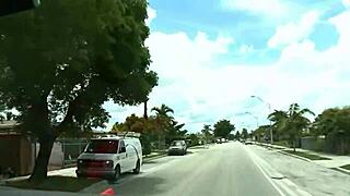 Discover Free Gay Porn Resources