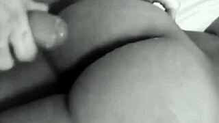 Classic female erotic scenes in a sultry retro compilation.